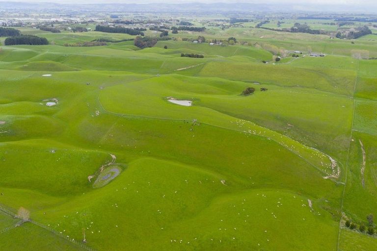 Photo of property in 234 Sandon Road, Feilding, 4779