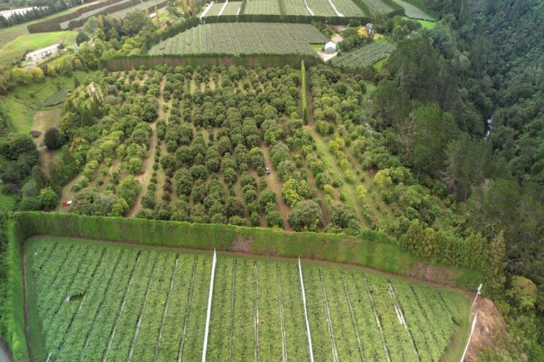 Photo of property in 400 Te Matai Road, Te Puke, 3188