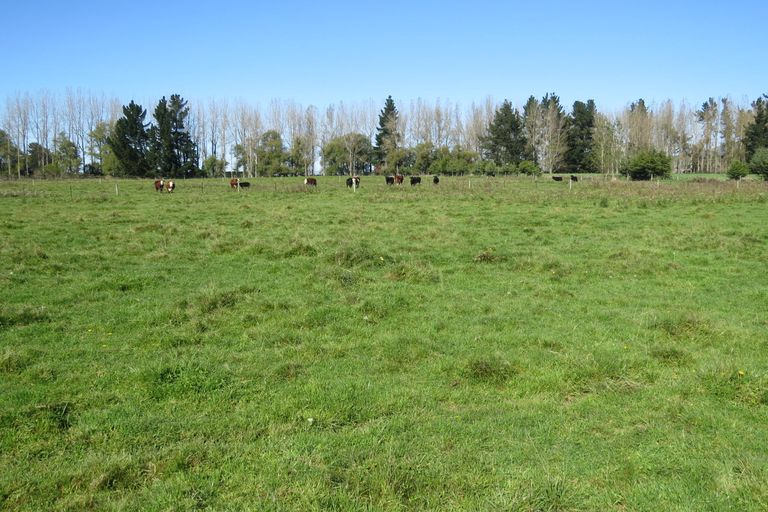 Photo of property in 141 Nixons Road, Fairlie, 7987