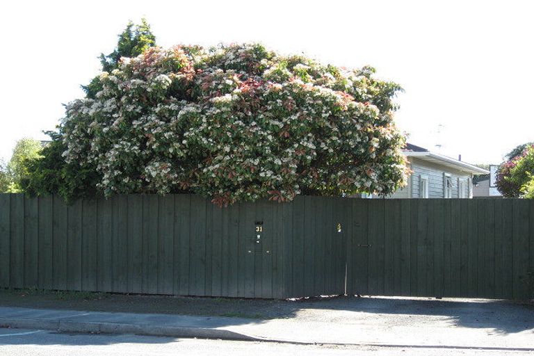 Photo of property in 31 Ellis Street, Brightwater, 7022
