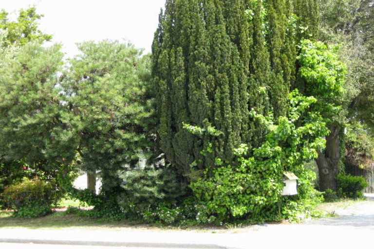 Photo of property in 77 Ayers Street, Rangiora, 7400