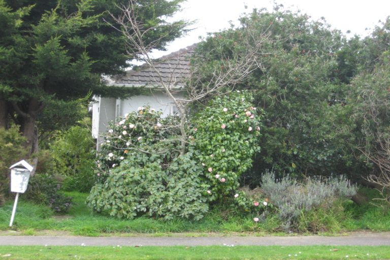 Photo of property in 17 Rutland Street, Levin, 5510