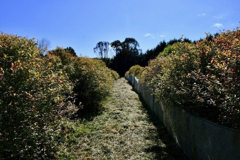 Photo of property in 1/19 Glasseye Drive, Little Wanganui, Karamea, 7893