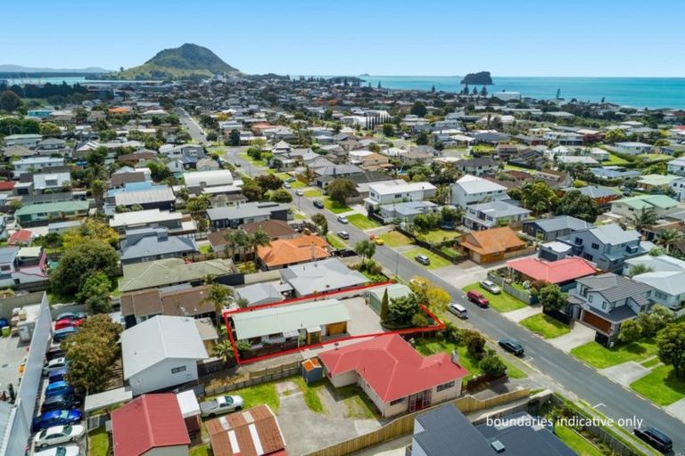 Photo of property in 66 Campbell Road, Mount Maunganui, 3116