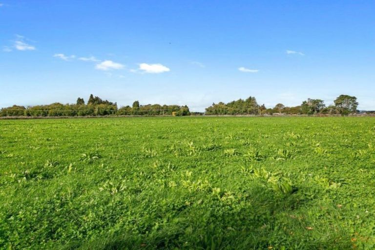 Photo of property in 743 Puketaha Road, Puketaha, Hamilton, 3281