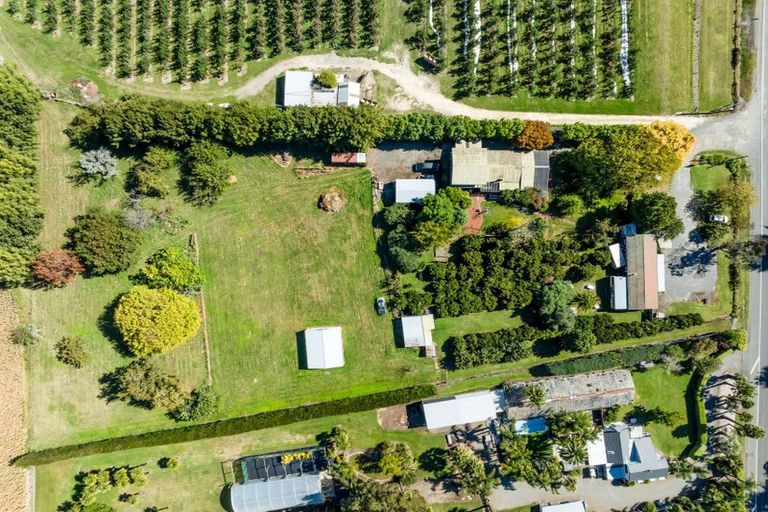 Photo of property in 521 State Highway 2 North, Whakatu, Hastings, 4180