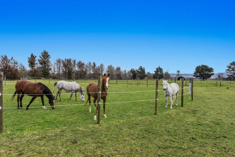 Photo of property in 108 Kawerau Road, Putauaki, Whakatane, 3192