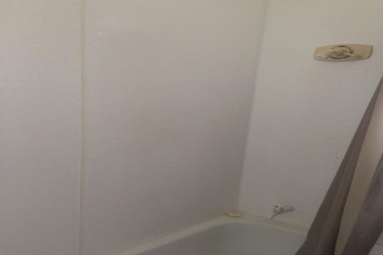 Photo of property in 29a Beale Street, Hamilton East, Hamilton, 3216