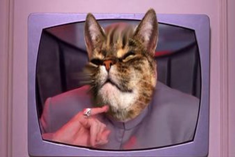 Photo of property in Jugglers Rest Backpackers, 8 Canterbury Street, Picton, 7220