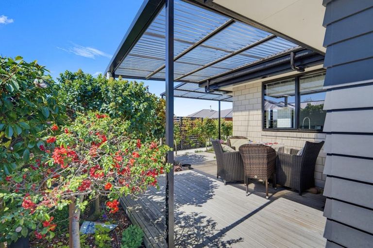 Photo of property in 41 Ara Drive, Redwoodtown, Blenheim, 7201