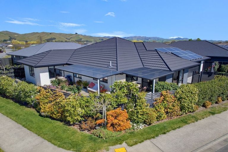 Photo of property in 41 Ara Drive, Redwoodtown, Blenheim, 7201