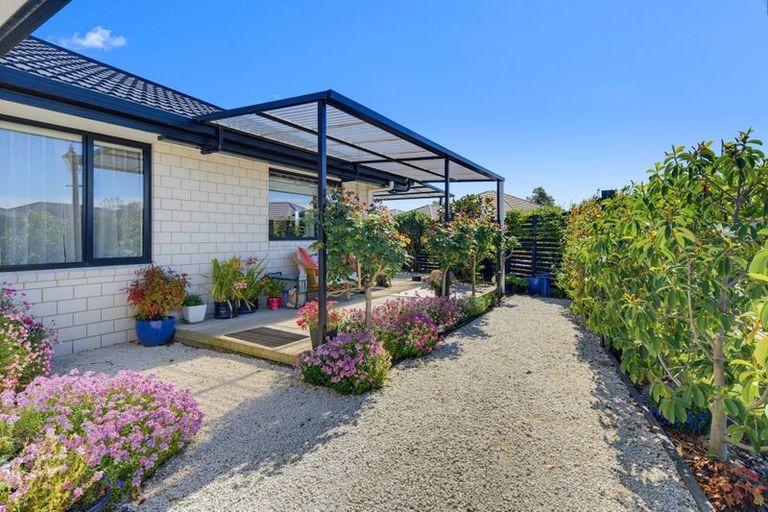 Photo of property in 41 Ara Drive, Redwoodtown, Blenheim, 7201