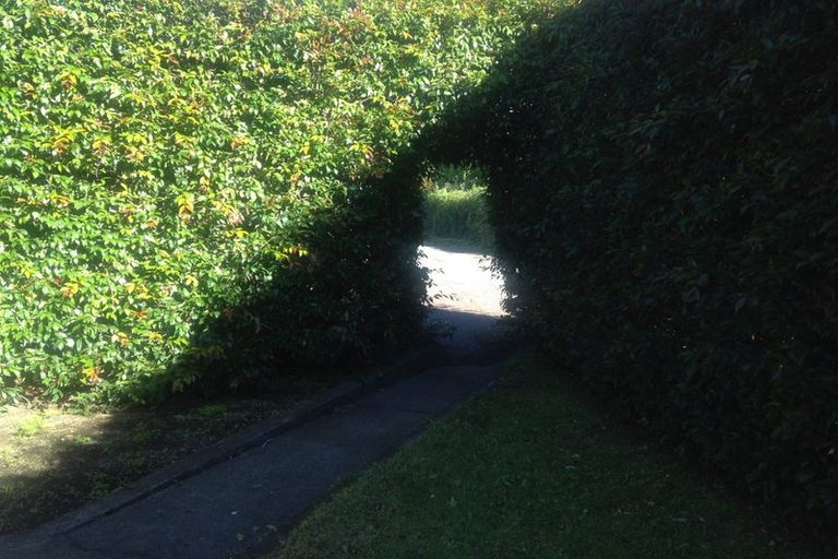 Photo of property in 8 Boyd Avenue, Mangere Bridge, Auckland, 2022