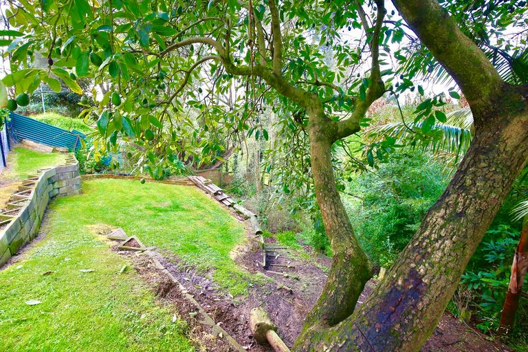 Photo of property in 9 Goodall Street, Dinsdale, Hamilton, 3204