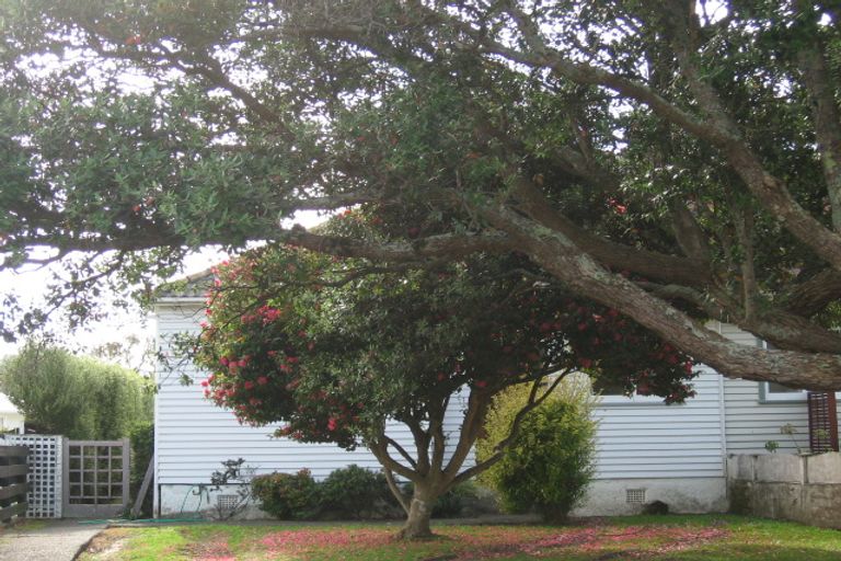 Photo of property in 8 Gadsby Street, Avalon, Lower Hutt, 5011