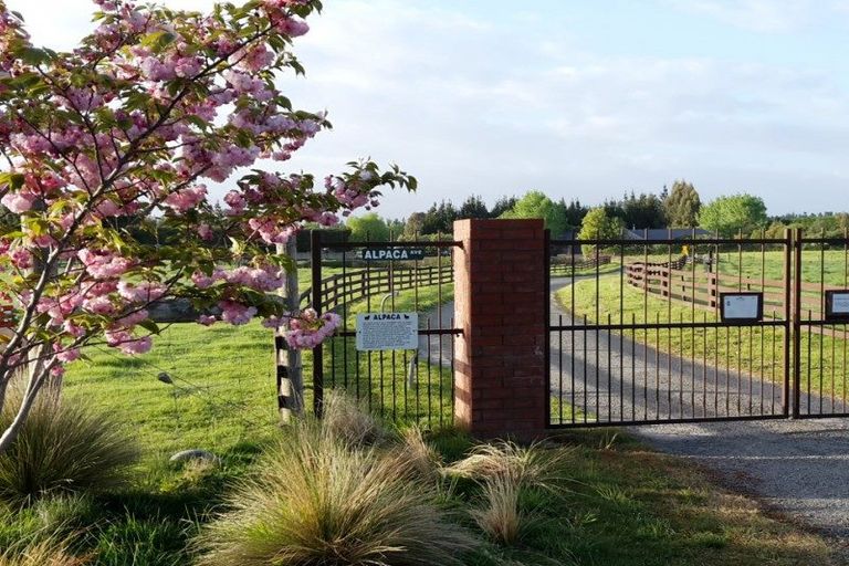 Photo of property in 1621 West Coast Road, Kirwee, Christchurch, 7671