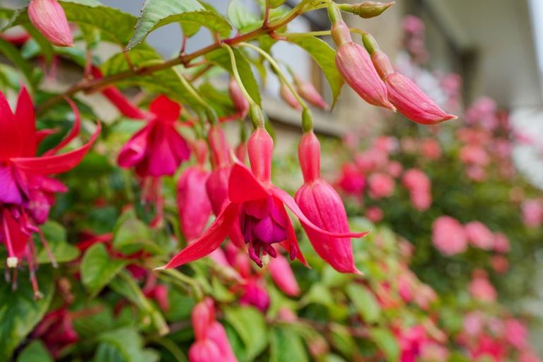 Photo of property in 3/71 Earn Street, Appleby, Invercargill, 9812