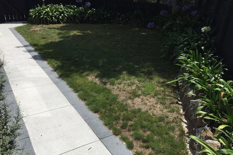 Photo of property in 2/195 Abbotts Way, Remuera, Auckland, 1050