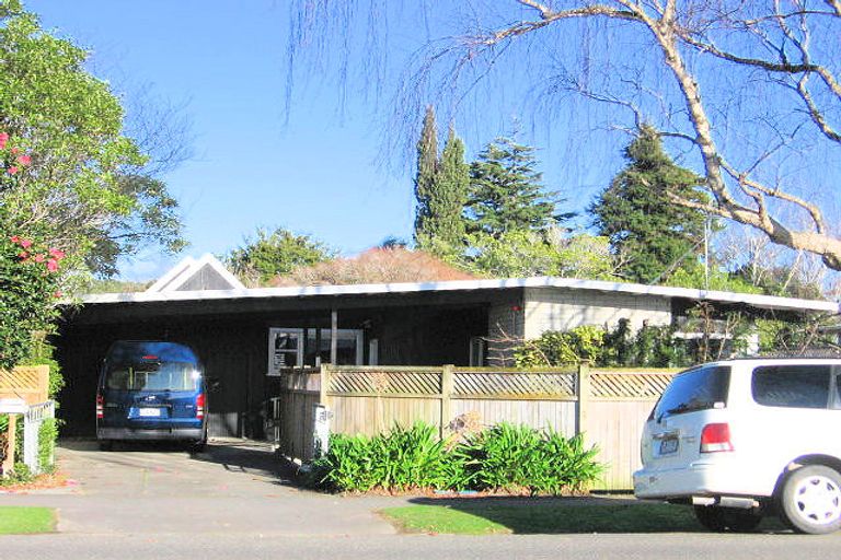 Photo of property in 438 Albert Street, Hokowhitu, Palmerston North, 4410