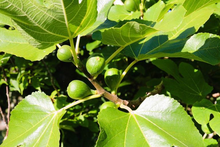 Photo of property in 144 The Crescent, Langs Beach, Waipu, 0582