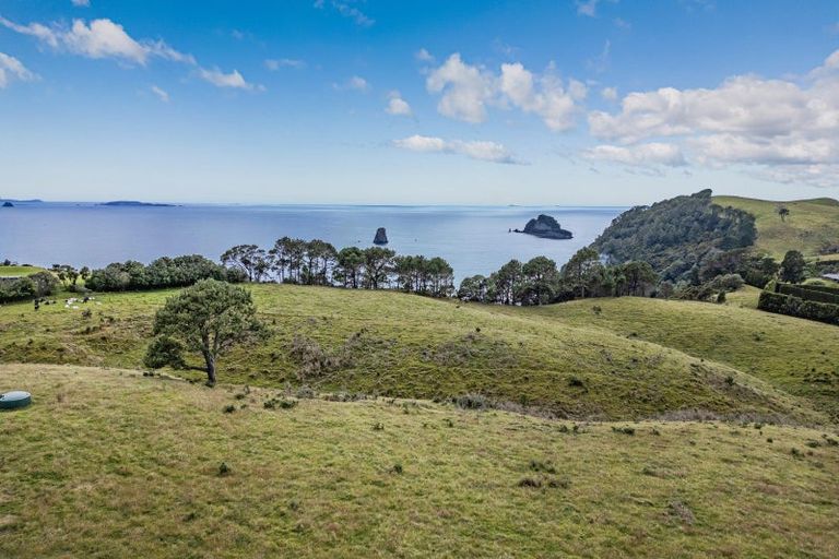 Photo of property in 396 Lees Road, Hahei, Whitianga, 3591