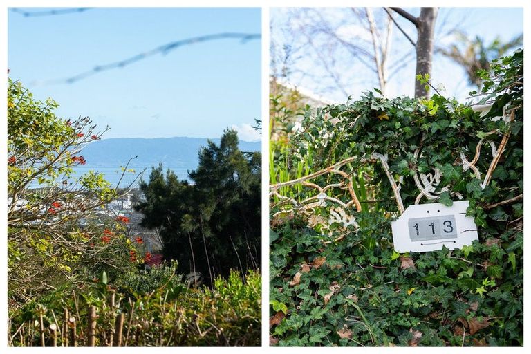 Photo of property in 113 Grafton Road, Thames, 3500