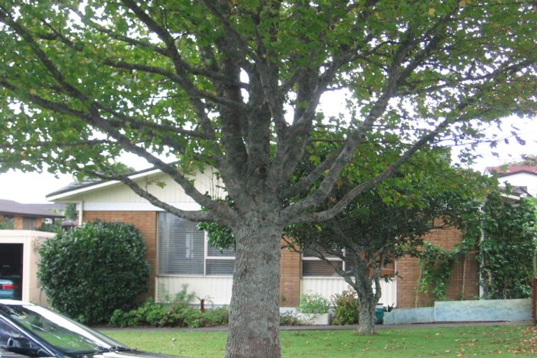 Photo of property in 2/8 Matuhi Rise, Henderson, Auckland, 0612