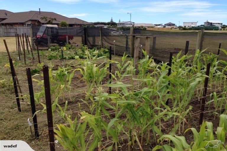 Photo of property in 20 Arakotipu Boulevard, Waiotahe, Opotiki, 3198