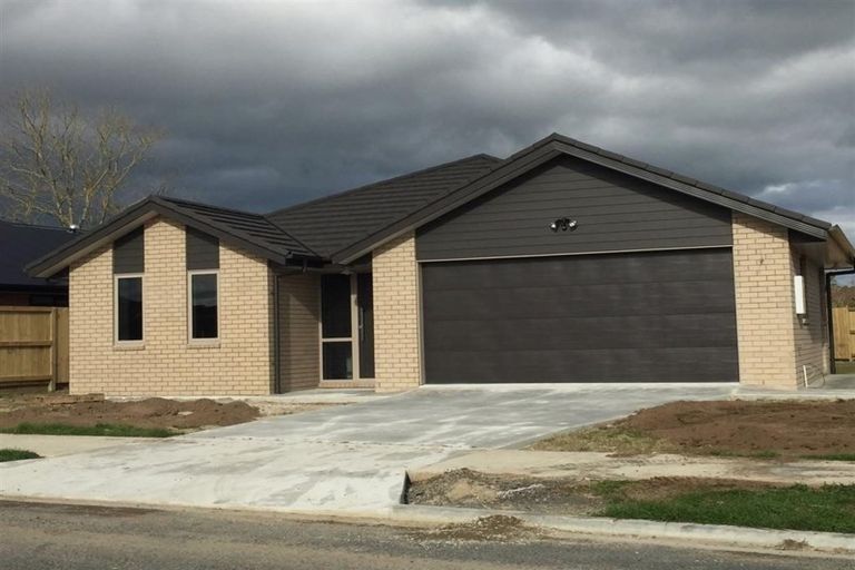 Photo of property in 255 Dixon Road, Fitzroy, Hamilton, 3206