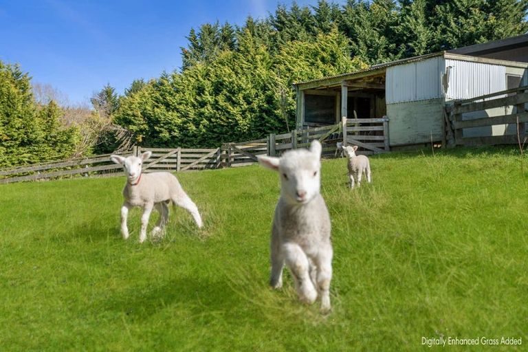 Photo of property in 297 Homestead Road, Weston, Oamaru, 9491