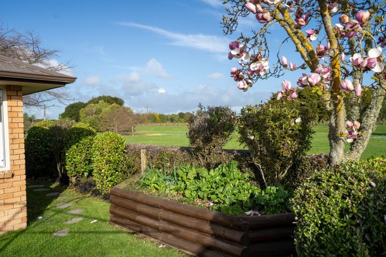 Photo of property in 26a Madison Street, Cambridge, 3434