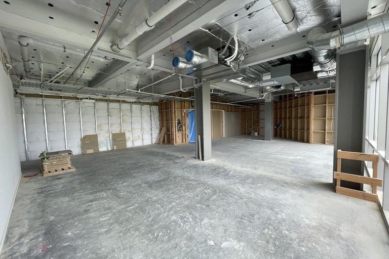 Photo of property in 1 Gallipoli Place, Flat Bush, Auckland, 2019