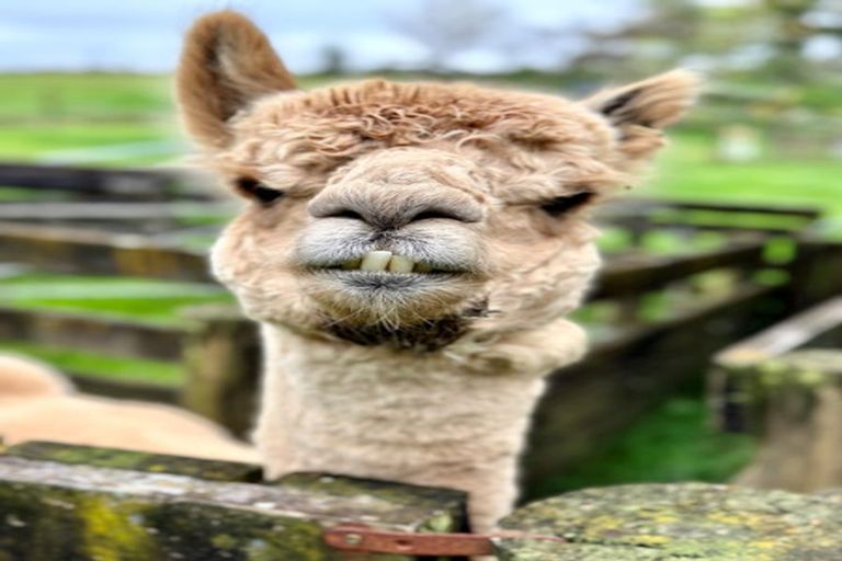 Photo of property in 10 Allan Road, Burgess Park, New Plymouth, 4371