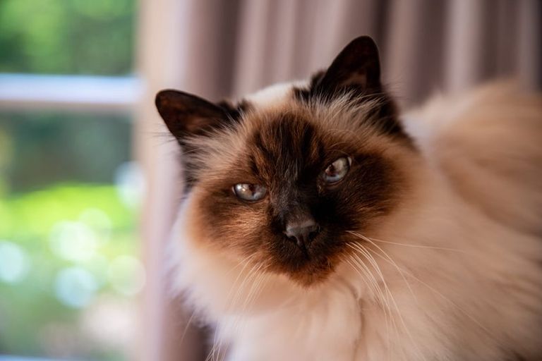 Photo of property in 1234 Paekakariki Hill Road, Paekakariki Hill, Porirua, 5381