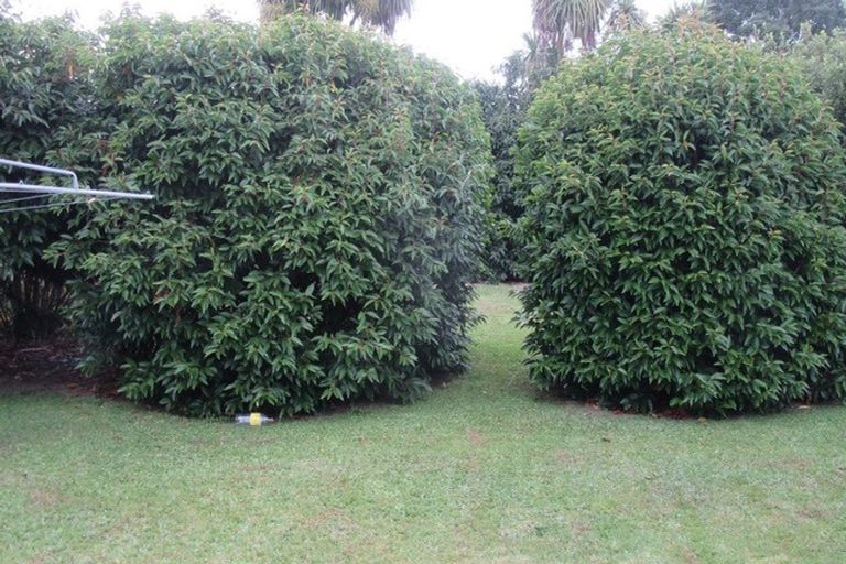 Photo of property in 19b Belt Street, Waimate, 7924