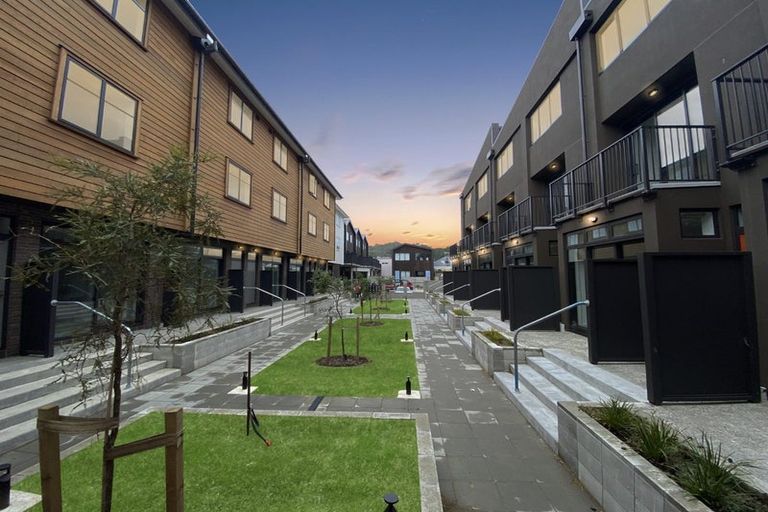 Photo of property in Aniva Terrace, 21 Arney Street, Newtown, Wellington, 6021