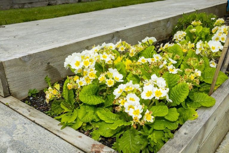 Photo of property in 18 Robertson Street, Elderslea, Upper Hutt, 5018