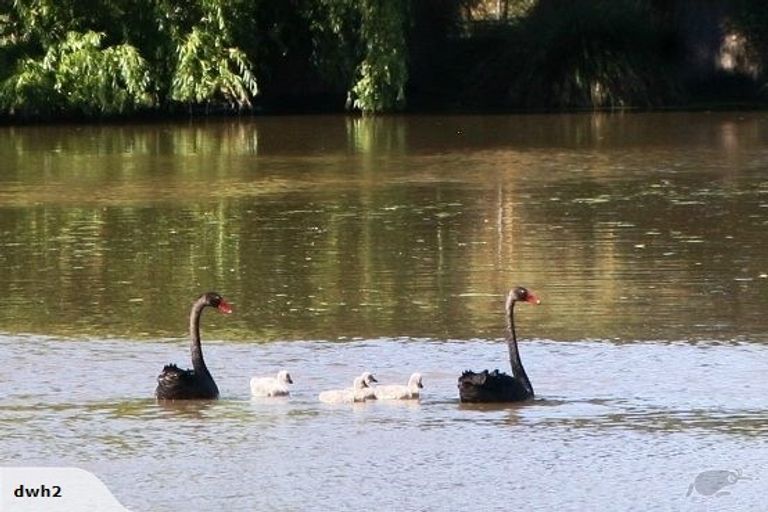 Photo of property in 135 Ballantyne Road, Poraiti, Napier, 4182