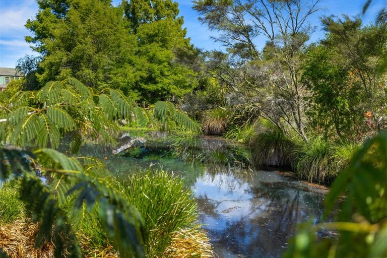 Photo of property in 16 Semillon Avenue, Henderson, Auckland, 0612