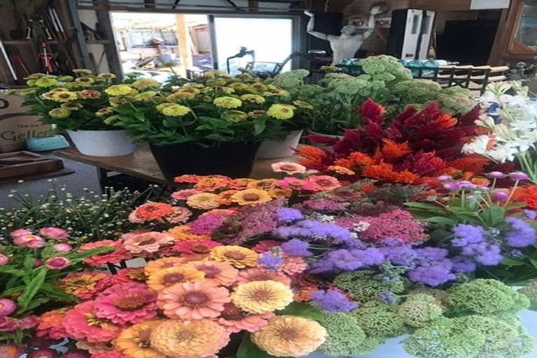 Photo of property in 2239b State Highway 12, Paparoa, 0571