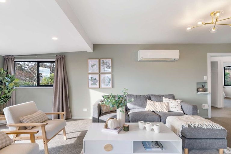 Photo of property in 19 Heath Street, Andersons Bay, Dunedin, 9013