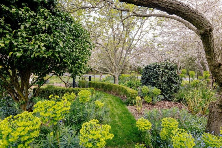 Photo of property in 65 Cherry Lane, Tamahere, Hamilton, 3283