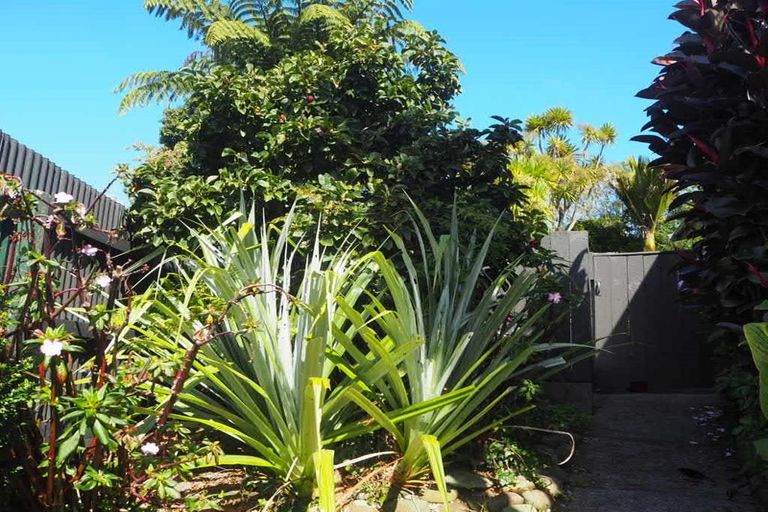Photo of property in 134g Huatoki Street, Frankleigh Park, New Plymouth, 4310