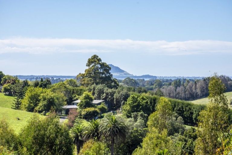 Photo of property in 390f Old Highway, Whakamarama, Tauranga, 3180