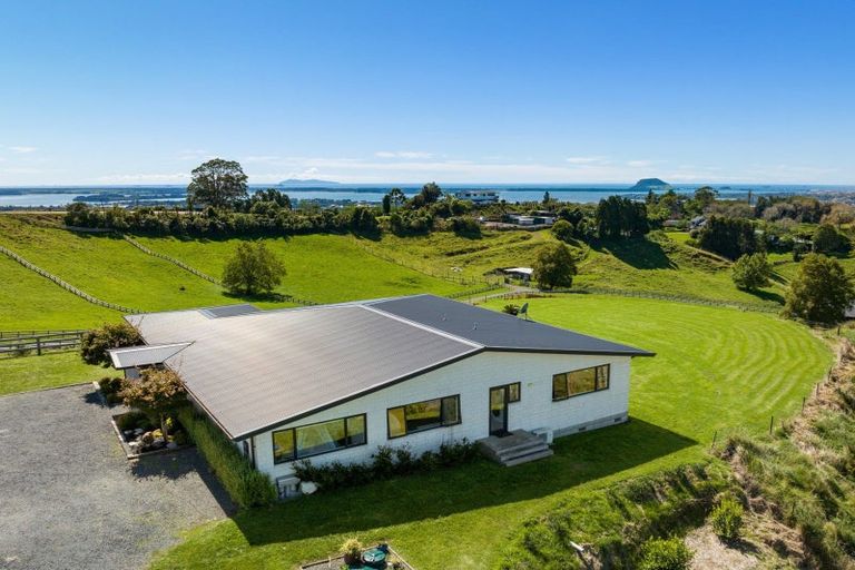 Photo of property in 15b Junction Road, Minden, Tauranga, 3176