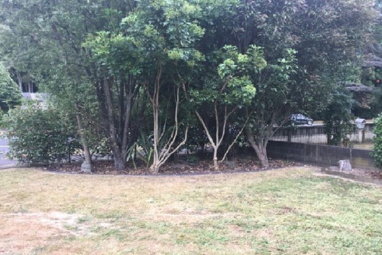 Photo of property in 119 Boundary Road, Claudelands, Hamilton, 3214