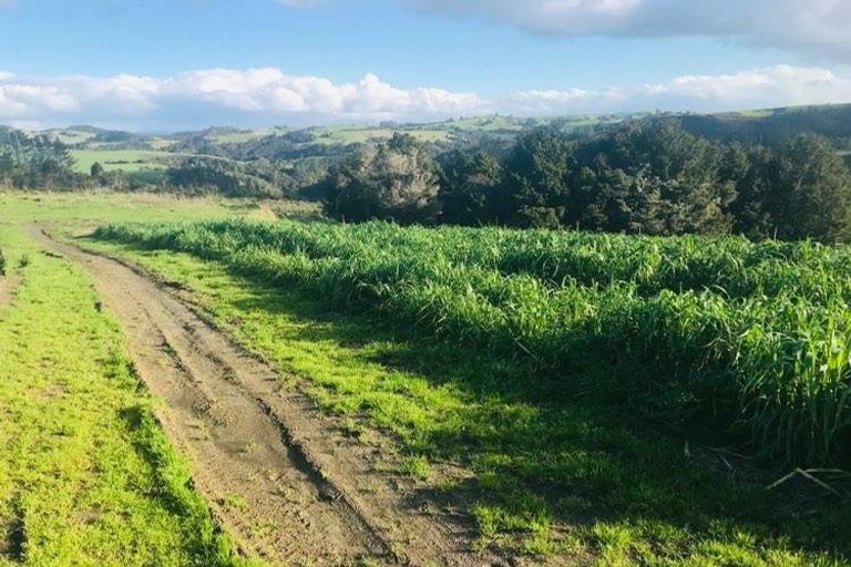 Photo of property in 714 Pakaru Road, Kawakawa, 0282