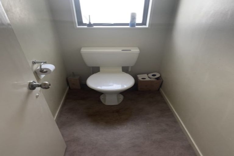 Photo of property in 377 Kahikatea Drive, Dinsdale, Hamilton, 3204