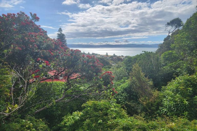 Photo of property in 43 Rona Street, Eastbourne, Lower Hutt, 5013