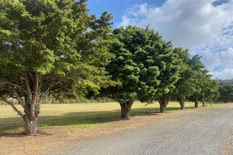 Photo of property in 37 Sunnyside Road, Coatesville, 0793